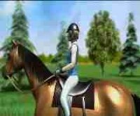 поездка на лошади